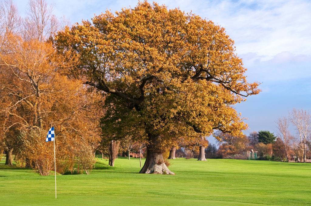 Avisford Park Hotel Αρουντέλ Εξωτερικό φωτογραφία